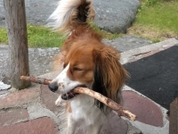 kuva Anne Mikkonen