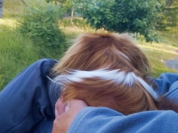 kuva Anne Mikkonen