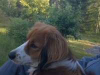 kuva Anne Mikkonen